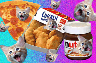 Illustration for article titled It's Like Taking Drugs and Looking at Cats